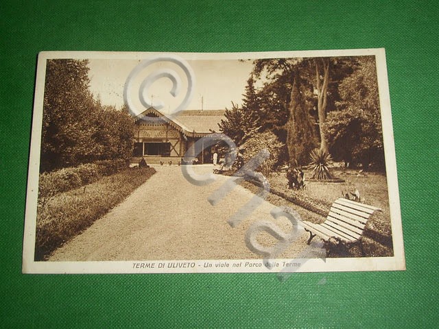 Cartolina Terme di Uliveto - Un viale nel Parco delle …