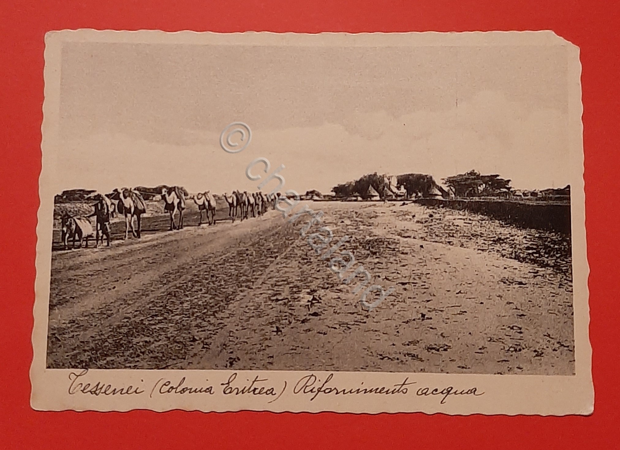 Cartolina Tessenei - Colonia Eritrea - Rifornimento acqua - 1944