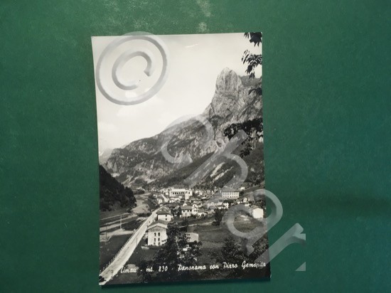 Cartolina Timau - Panorama Con Pizzo Gemispitz - 1963