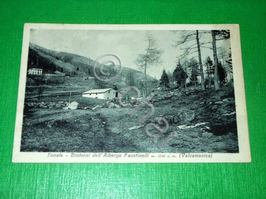 Cartolina Tonale - Dintorni dell' Albergo Faustinelli 1922.