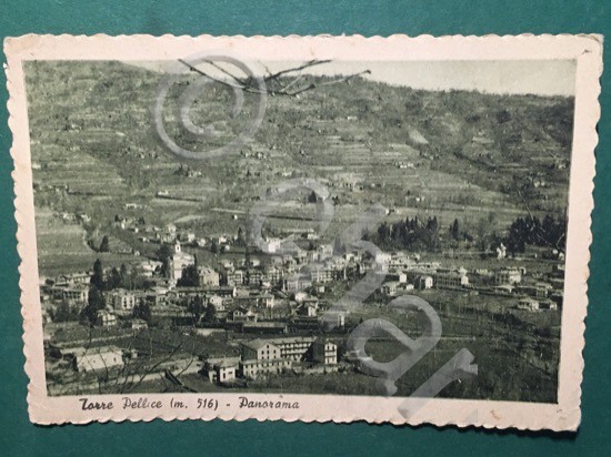 Cartolina Torre Pellice - Panorama - 1949