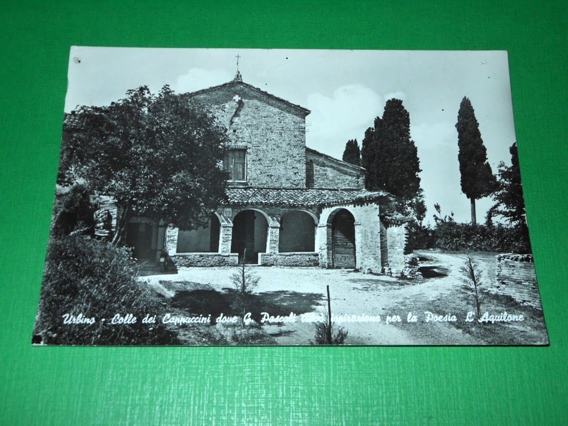 Cartolina Urbino - Colle dei Cappuccini 1967.