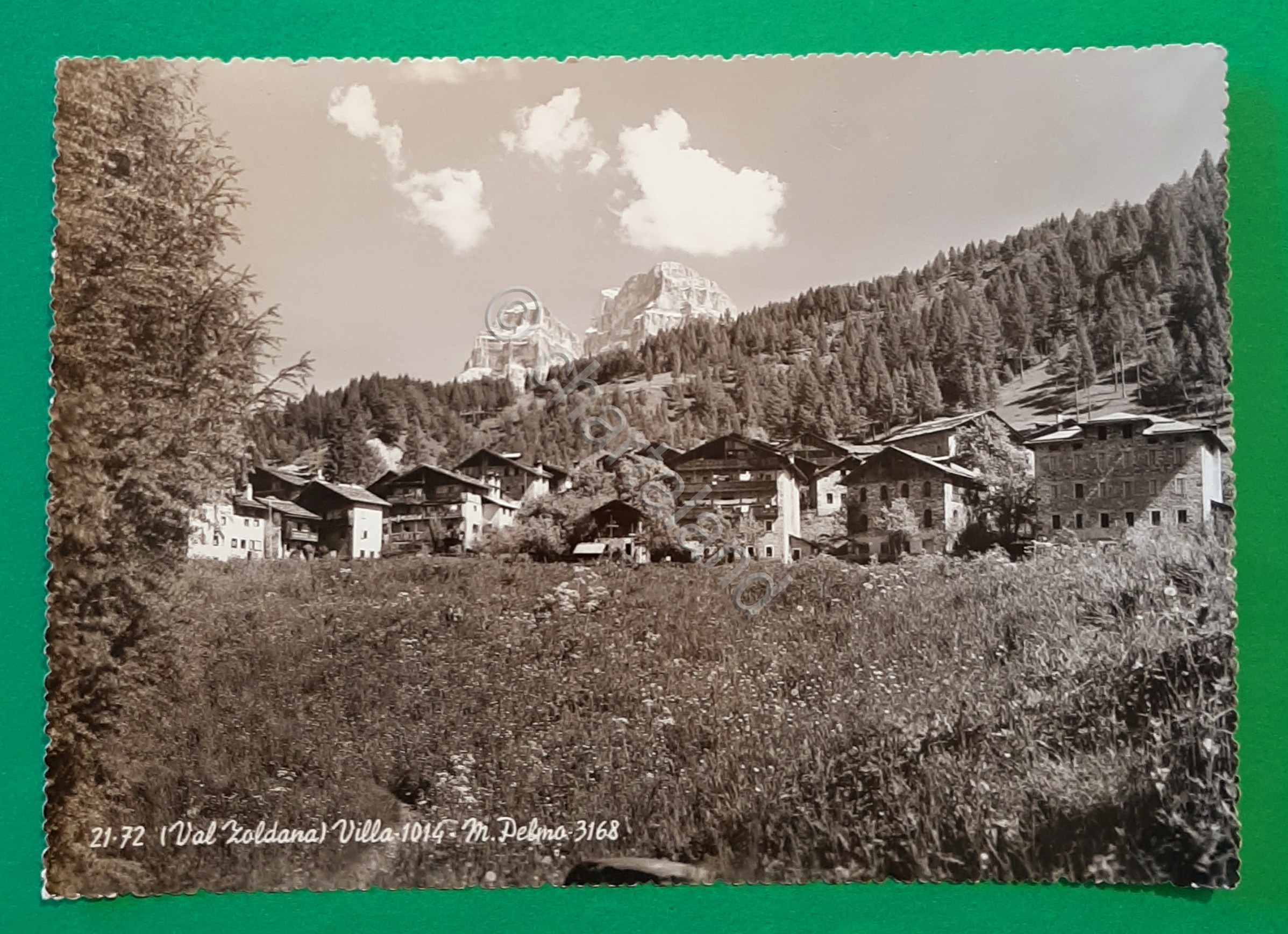 Cartolina ( Val Zoldana ) Villa - 1014 - M. …