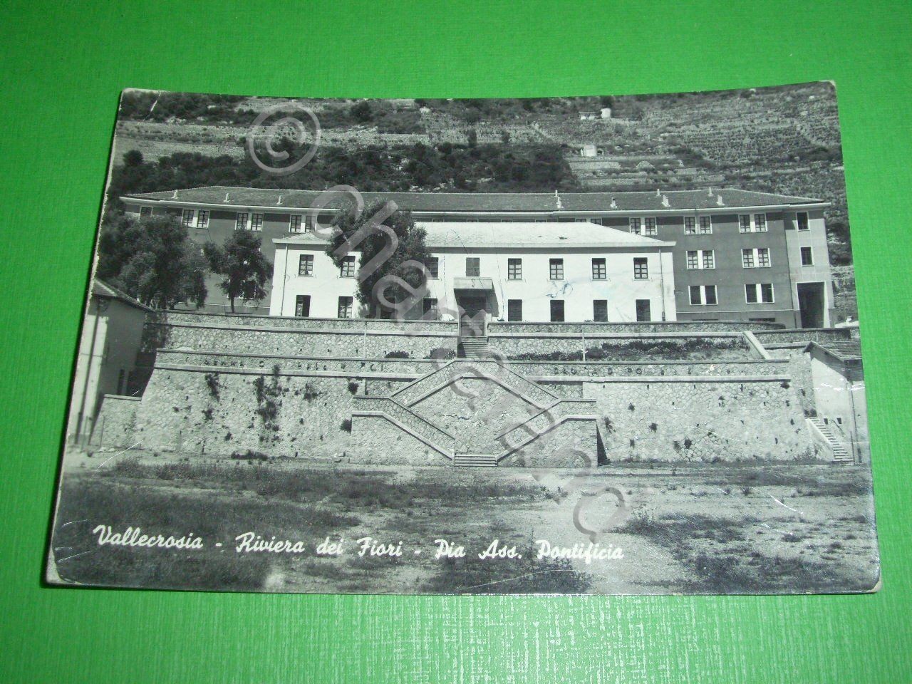 Cartolina Vallecrosia - Riviera dei Fiori - Pia Ass. Pontificia …
