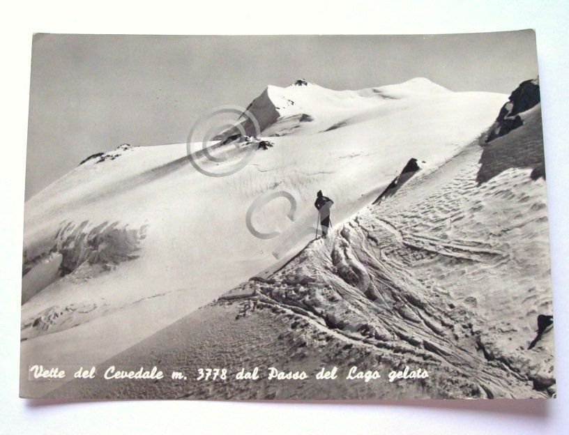 Cartolina Vette del Cevedale - Panorama 1963