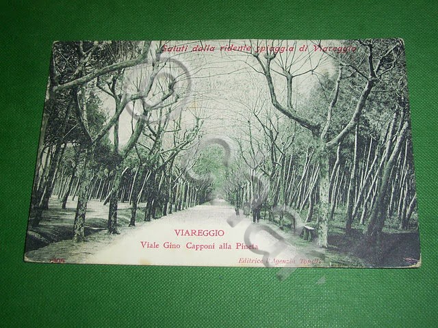 Cartolina Viareggio - Viale Gino Capponi alla Pineta 1907