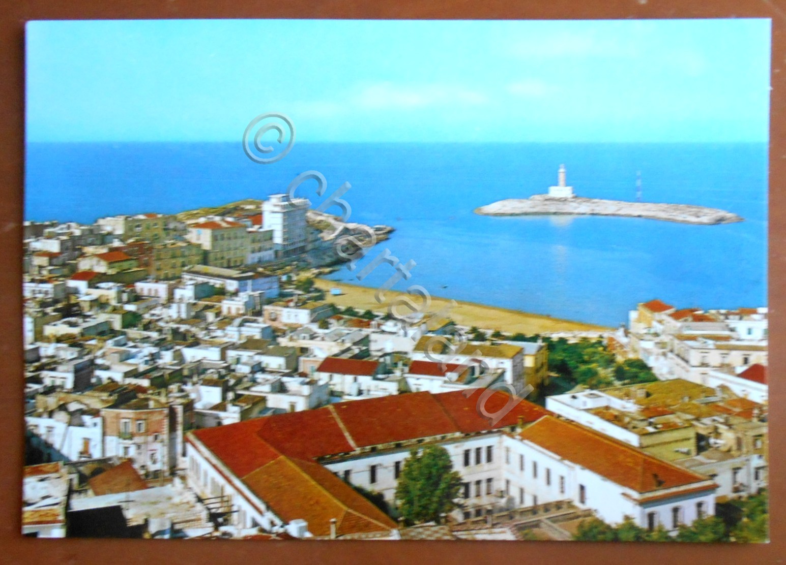 Cartolina Vieste - Panorama con l' isolotto del Faro - …