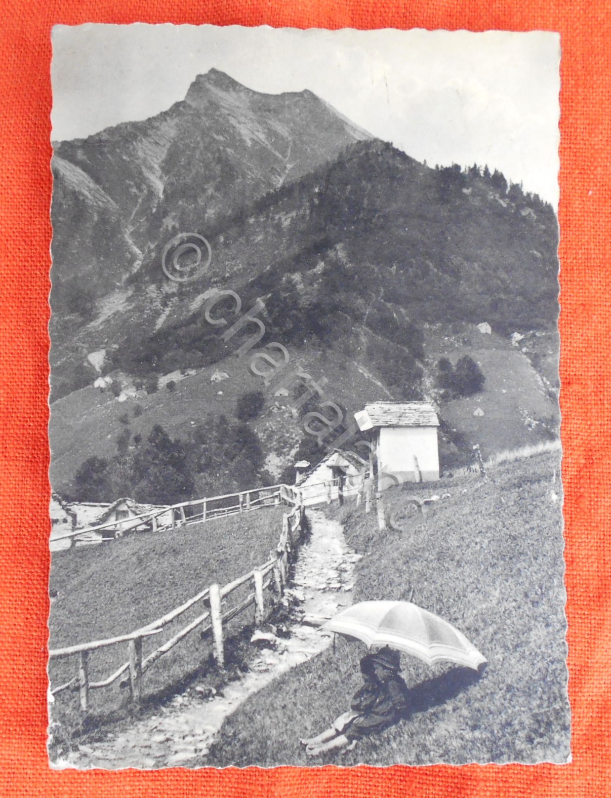 Cartolina Vigezzo (Piemonte) - Alpe Arvogno e la Pioda di …