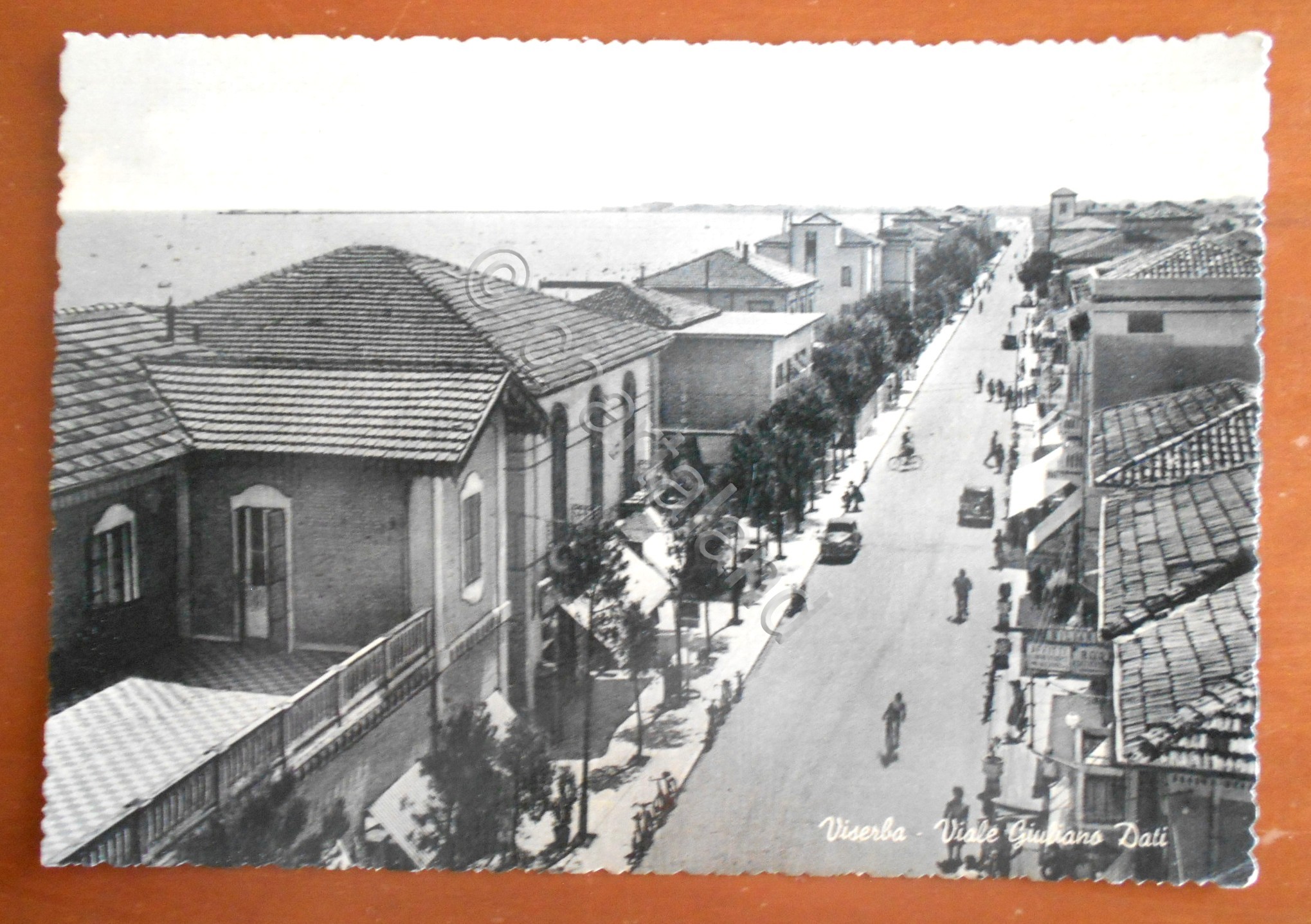 Cartolina Viserba - Viale Giuliano Dati - 1953