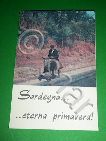 Cartolina Visione di Sardegna 1960 ca.