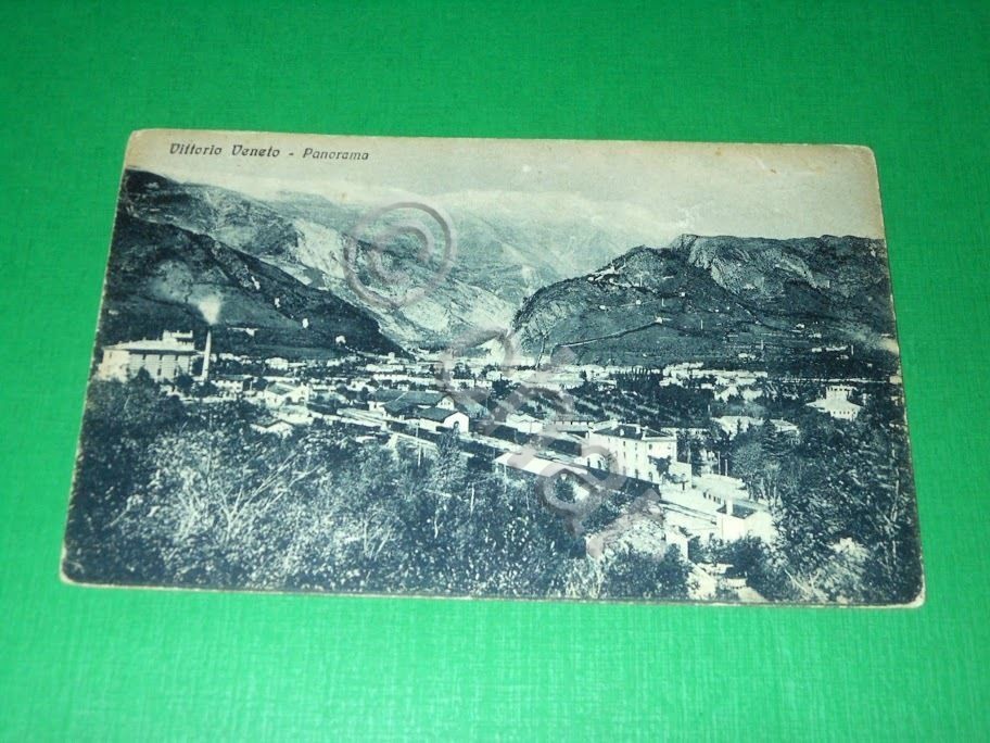 Cartolina Vittorio Veneto ( Treviso ) - Panorama 1924.