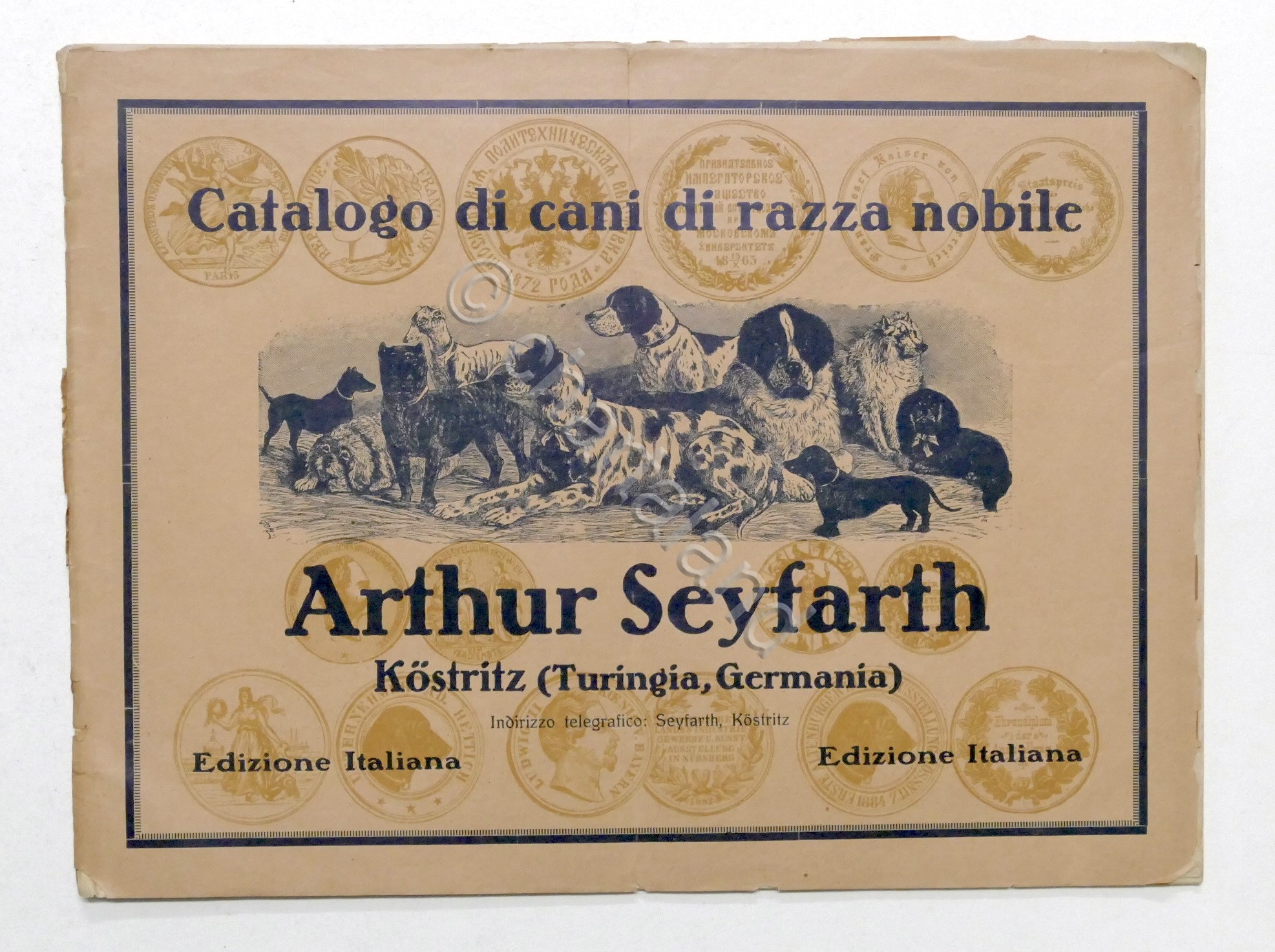 Catalogo illustrato cani di razza nobile - Arthur Seyfarth - …