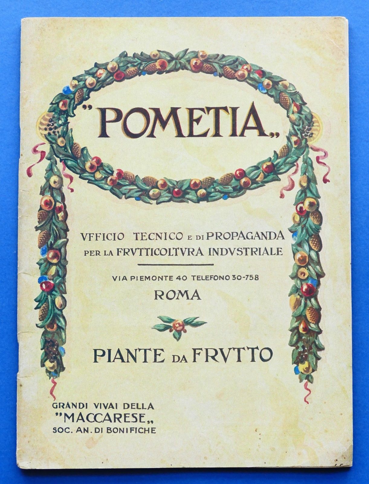 Catalogo Pometia - Piante da frutto - Roma - 1930