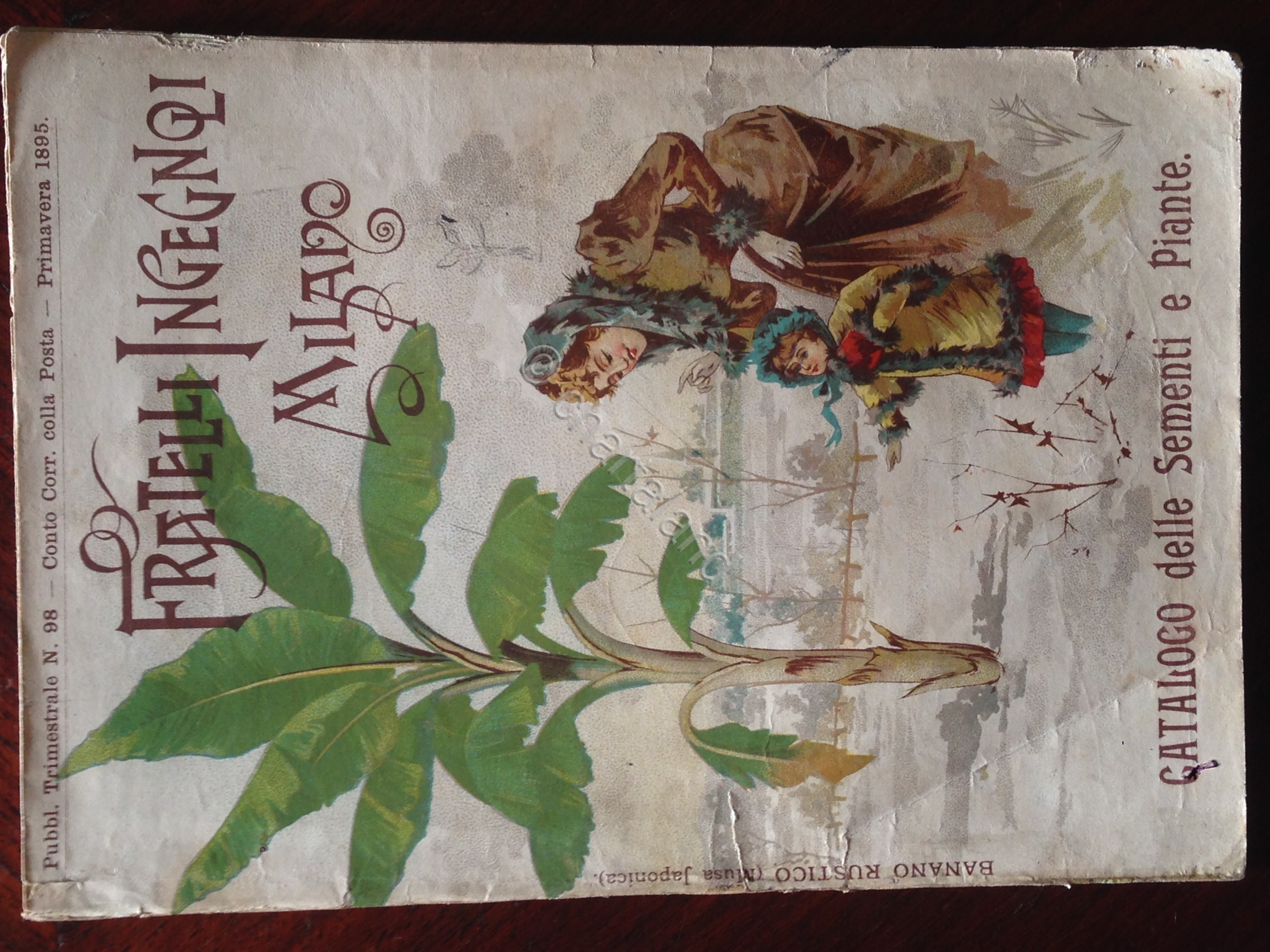 Catalogo sementi e piante - Fratelli Ingegnoli Milano - n. …