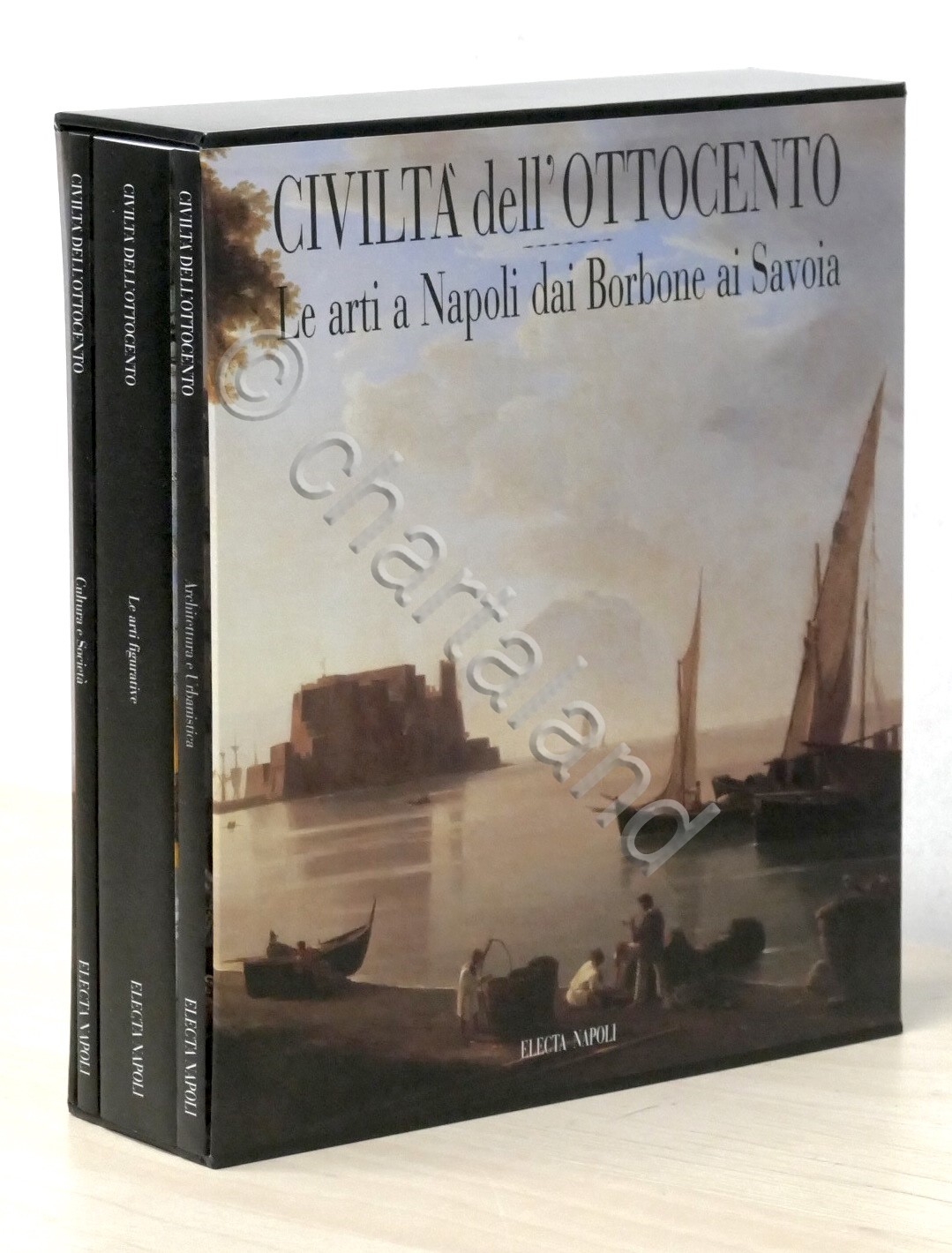 Civiltà dell'Ottocento - Le arti a Napoli dai Borbone ai …