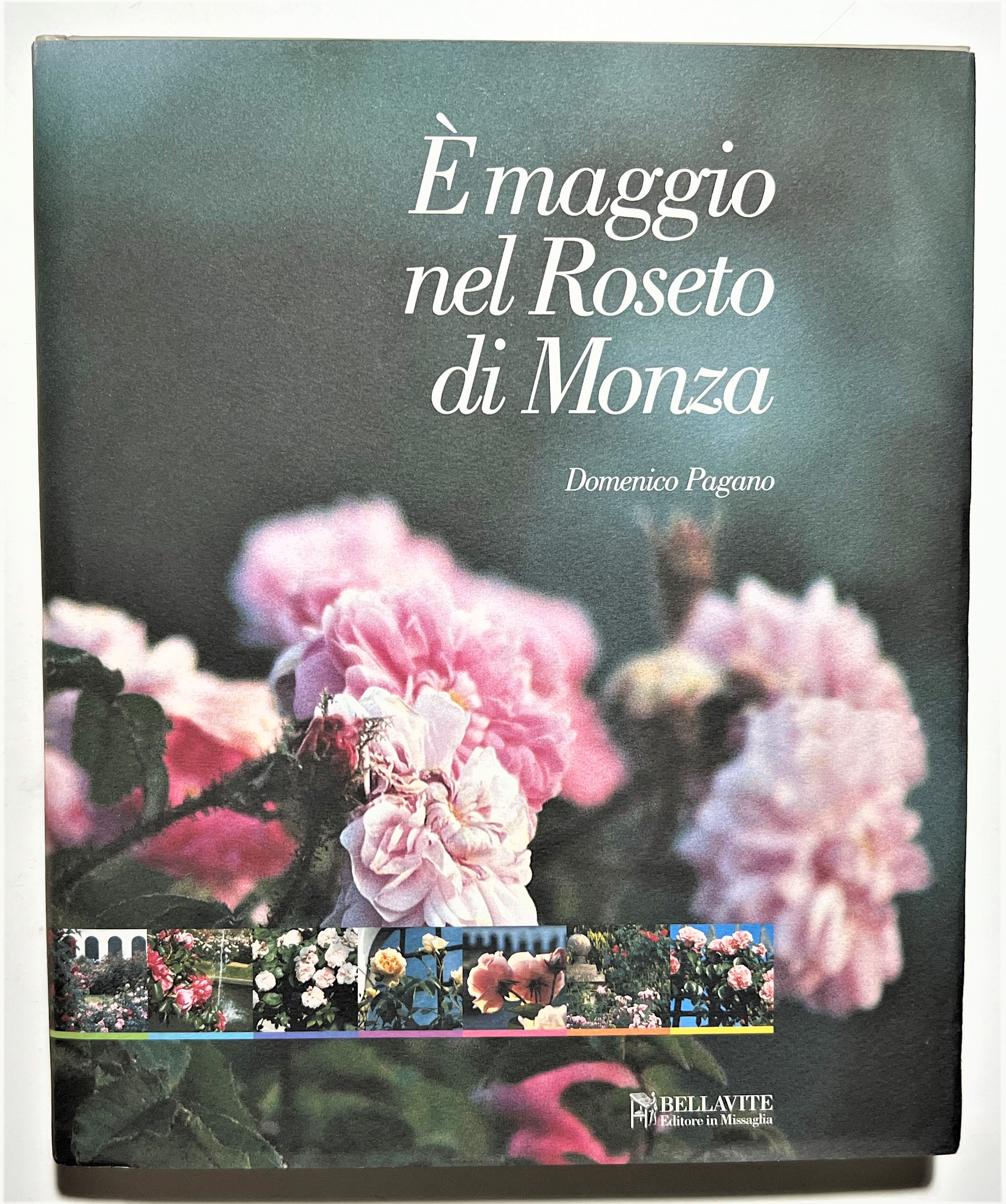 D. Pagano - E' maggio nel Roseto di Monza: Passeggiata …