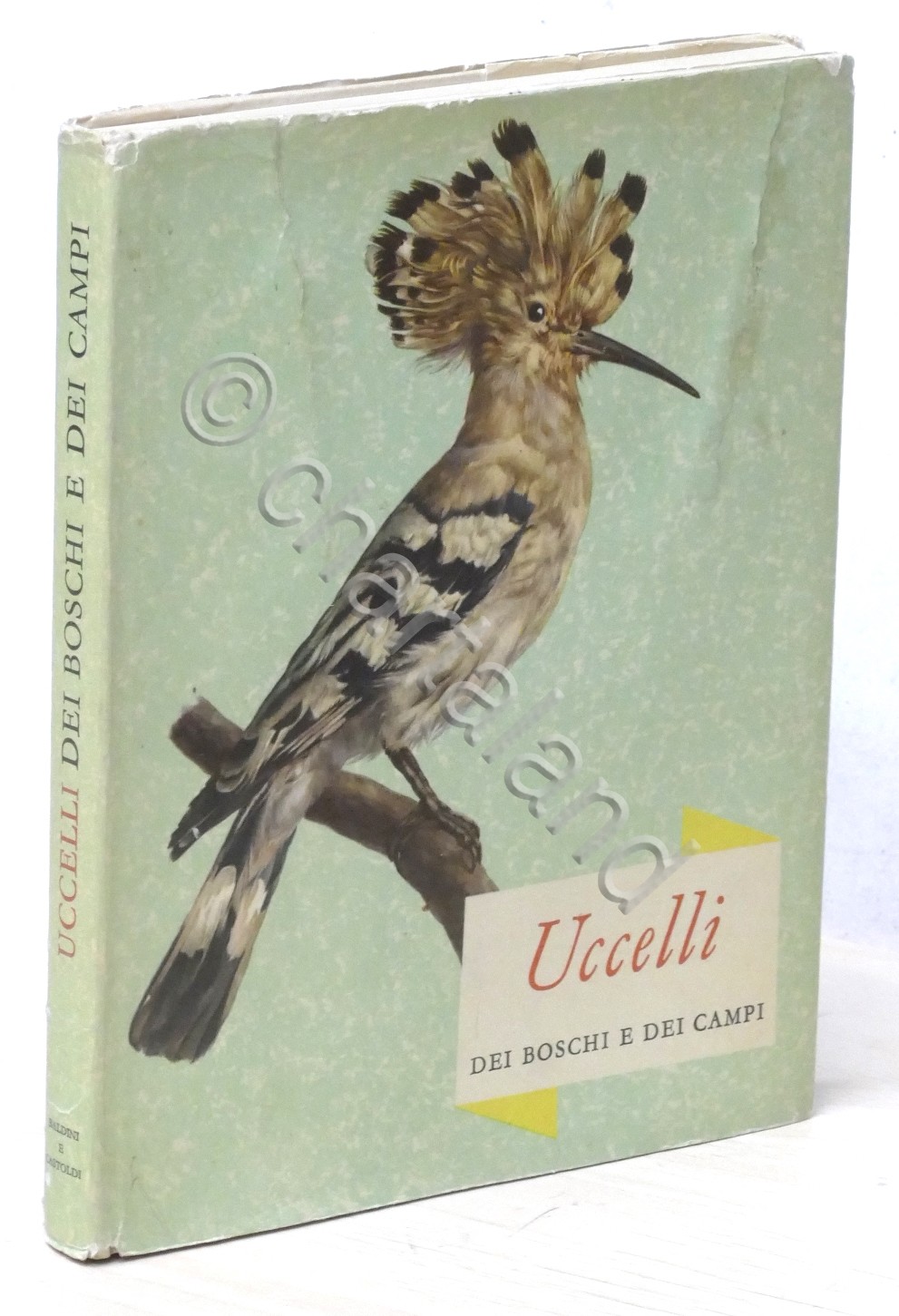 E. Demartini, O. Stepanek - Uccelli dei boschi e dei …