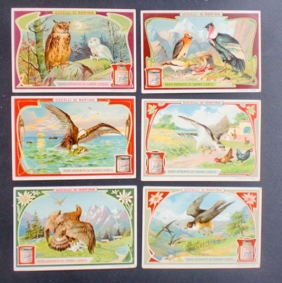 Figurine LIEBIG - Uccelli di Rapina - Rif. N° 872