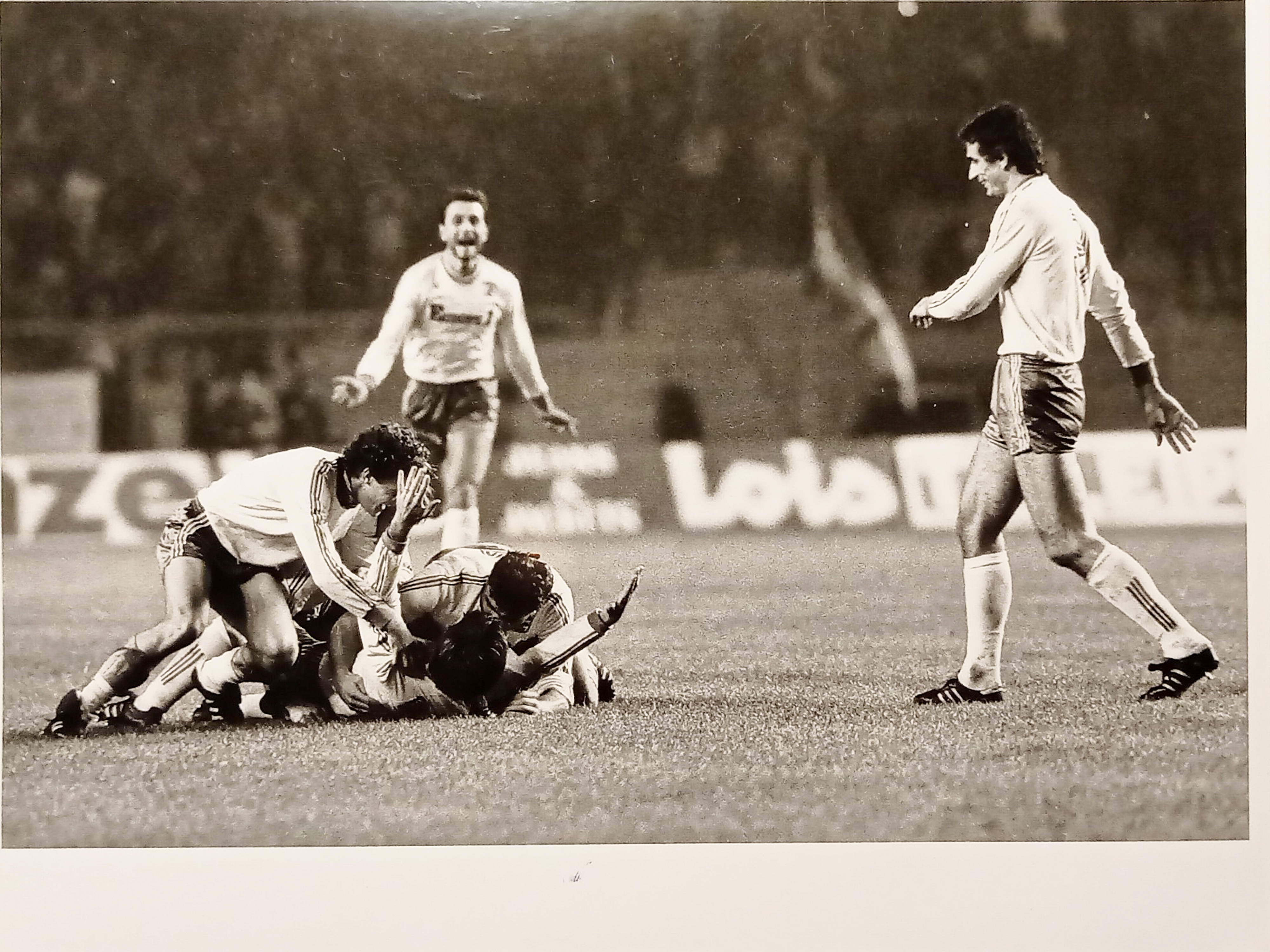 Foto Agenzia - Calciatore francese Loïc Amisse - (Nantes - …