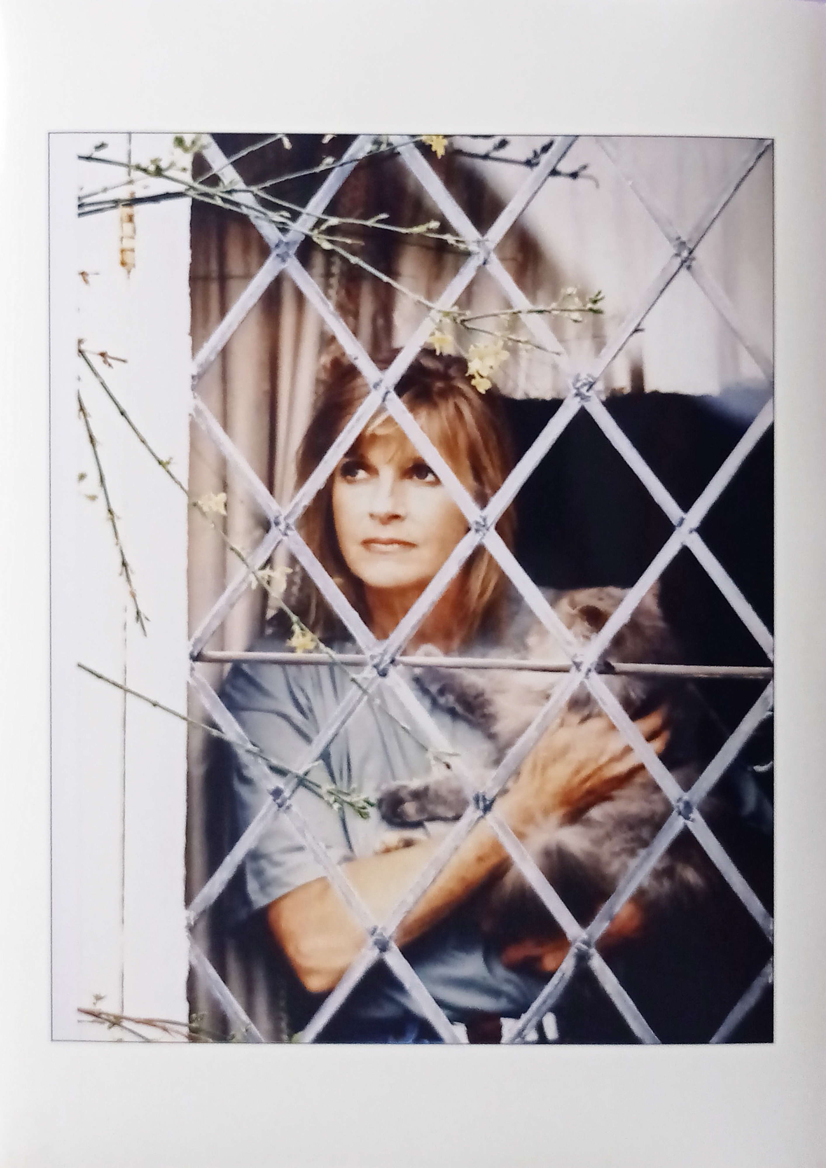 Foto Agenzia Sipa Press - Linda McCartney ed il suo …