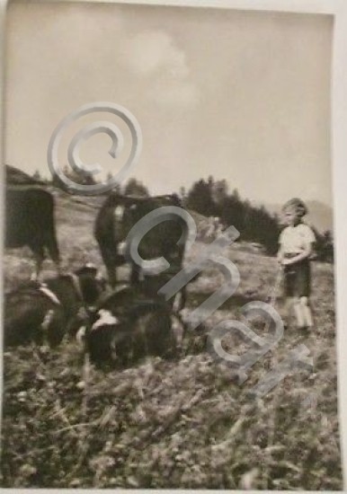 Foto cartolina - L'altezza Reale la Principessa Maria Pia - …