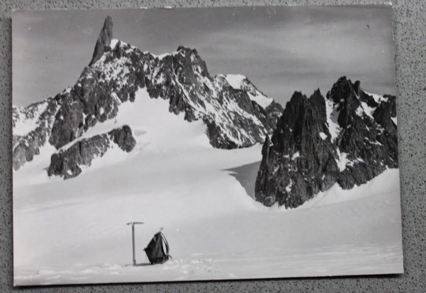 Foto Montagna Valle d'Aosta 1950 ca - Courmayeur Dente del …