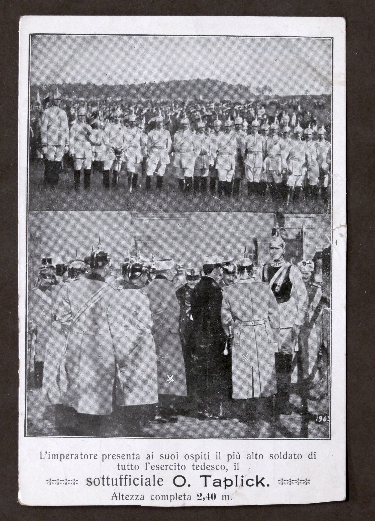 Fotocartolina - Soldato più alto dell'esercito tedesco - O. Taplick …