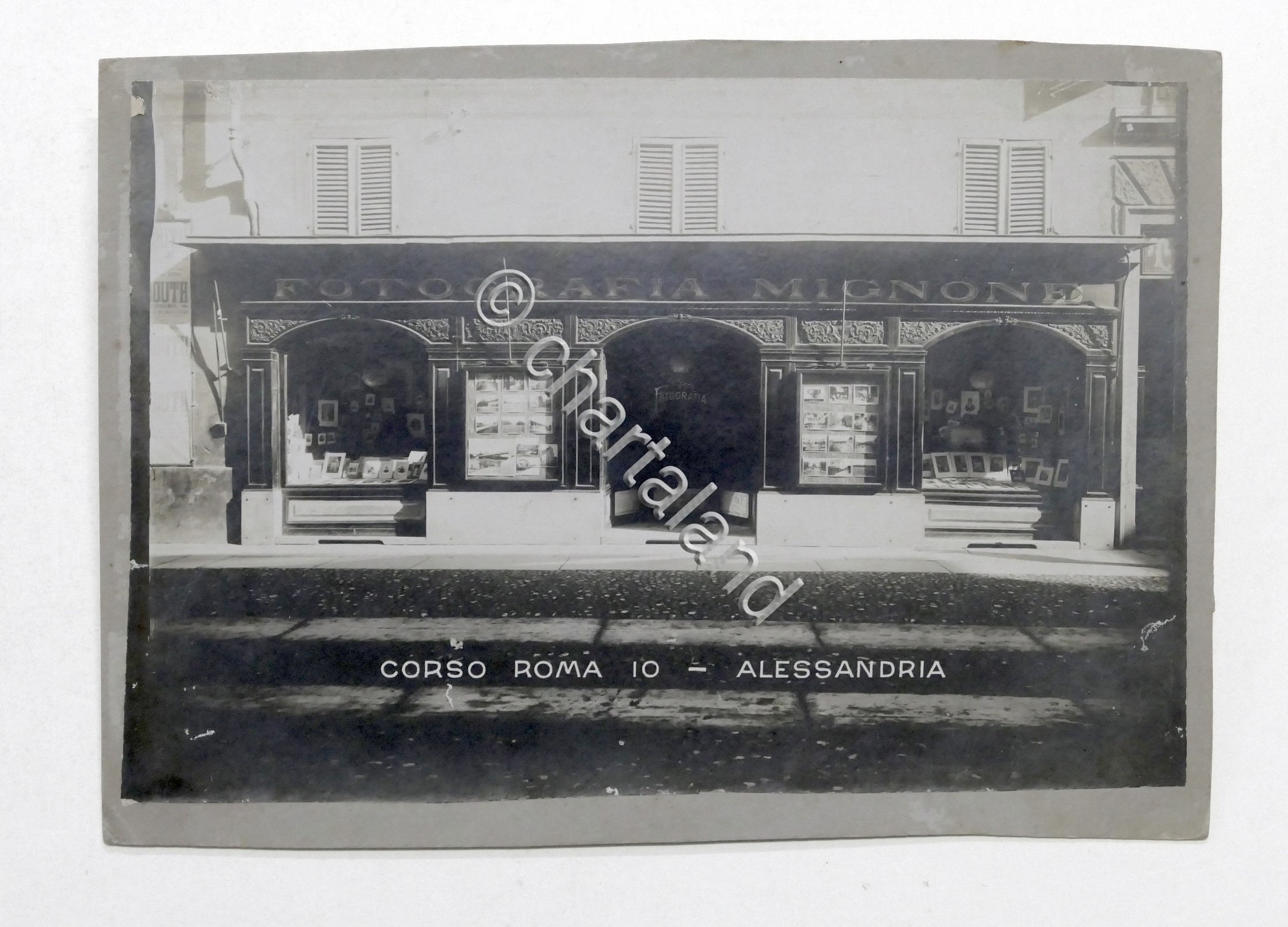 Fotografia Alessandria - Corso Roma 10 - Negozio Fotografia Mignone …