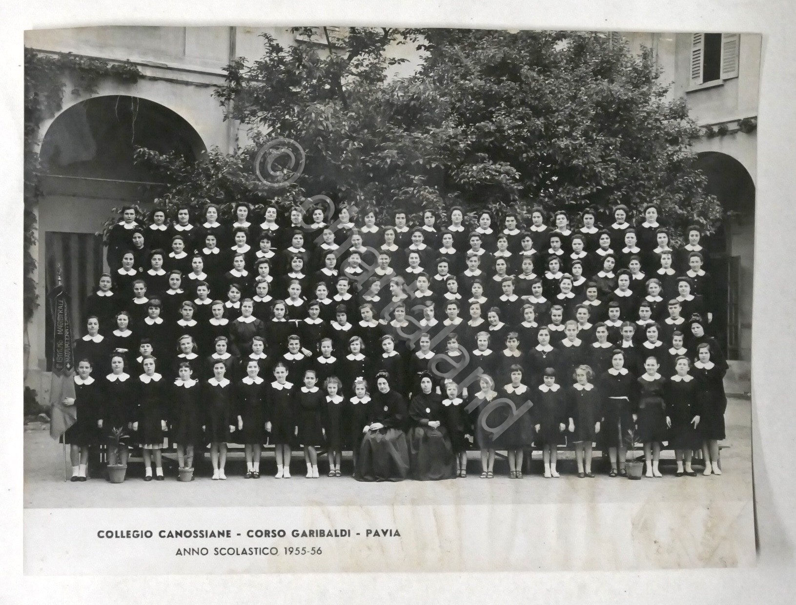Fotografia Collegio Canossiane - Pavia - Anno scolastico 1955 - …