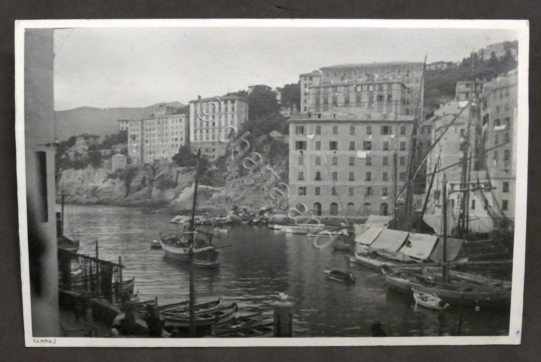 Fotografia d'epoca - Camogli - Scorcio panoramico - 1930 ca.