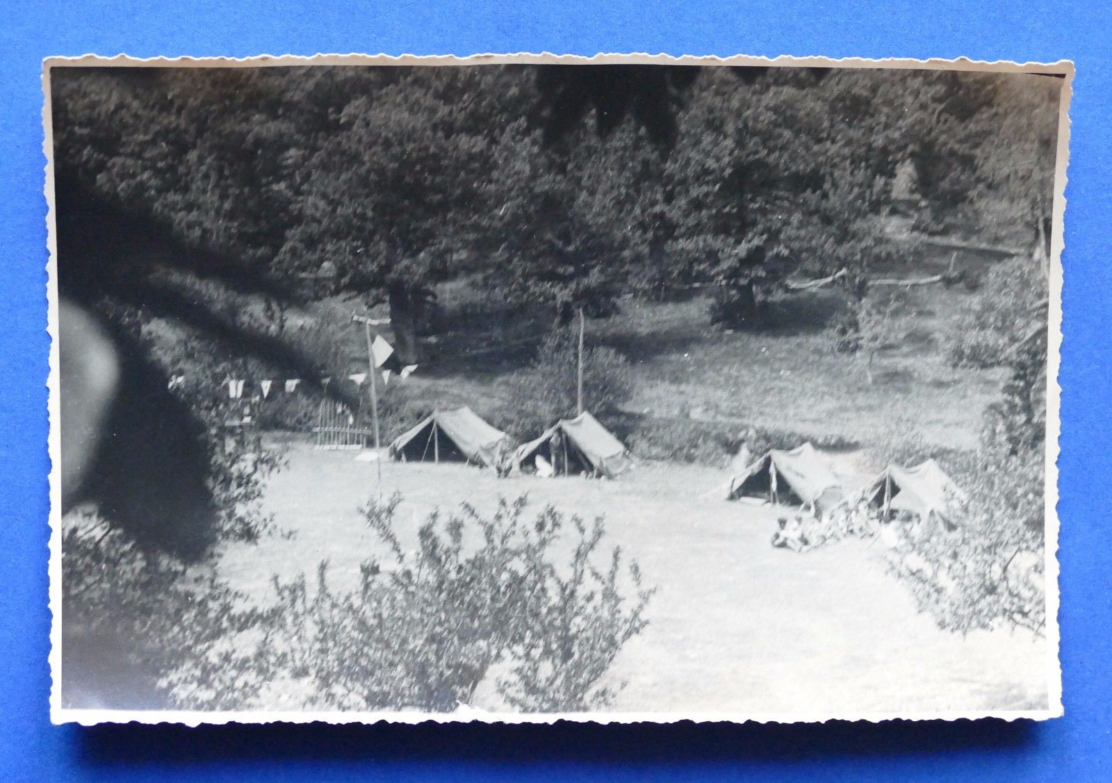 Fotografia d'epoca - Foto Boy Scout Liguria (48) - anni …