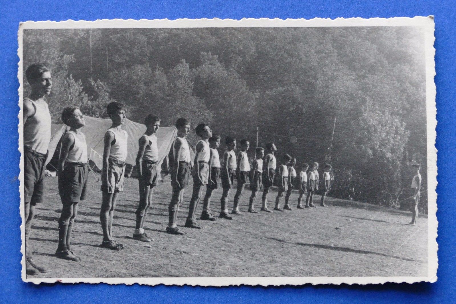 Fotografia d'epoca - Fotocartolina Boy Scout Liguria (22) - anni …