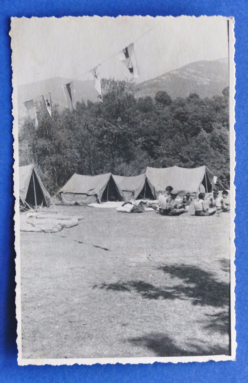 Fotografia d'epoca - Fotocartolina Boy Scout Liguria (26) - anni …