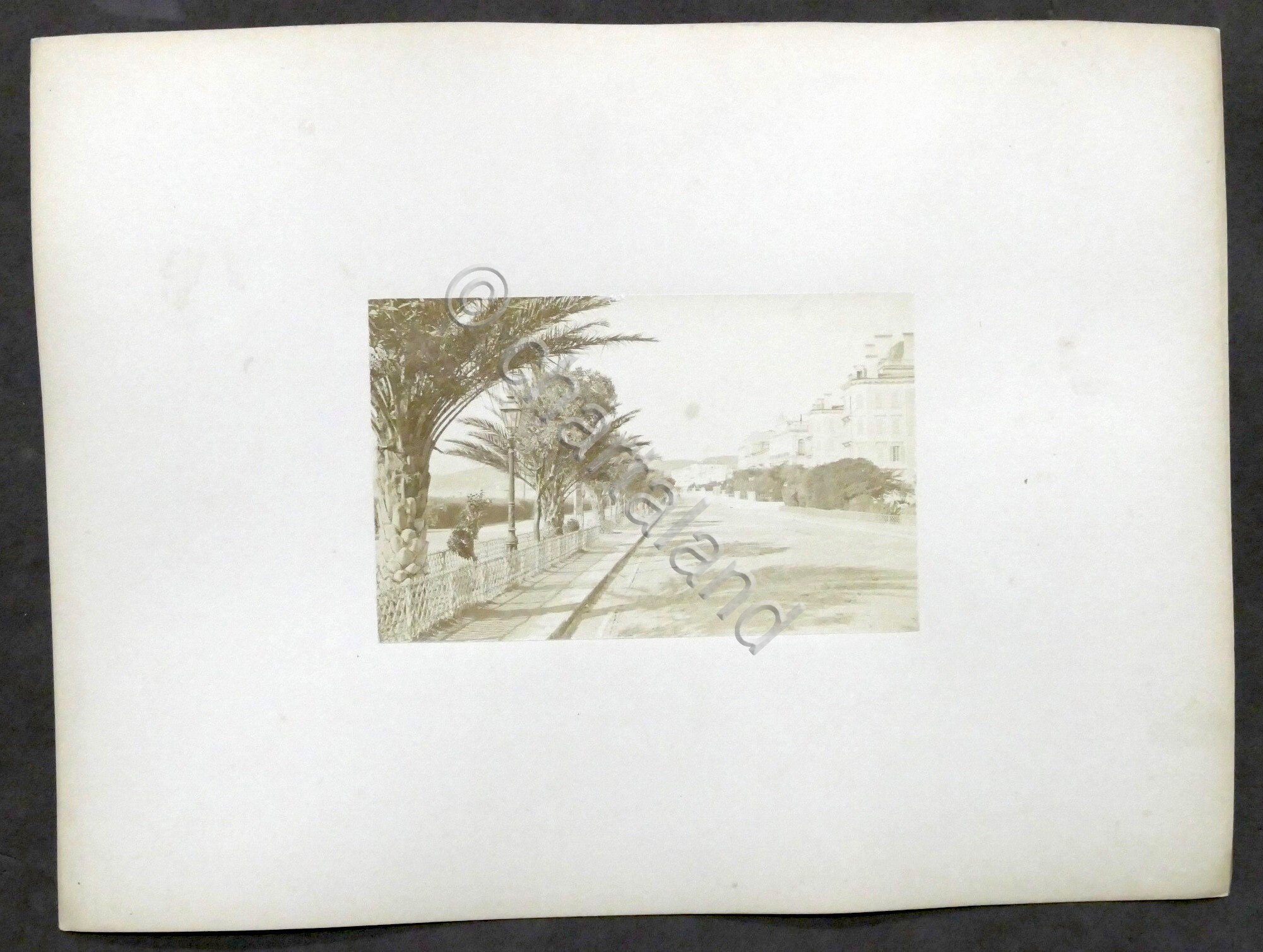 Fotografia d'epoca albumina - Nizza: Promenade des Anglais - fine …