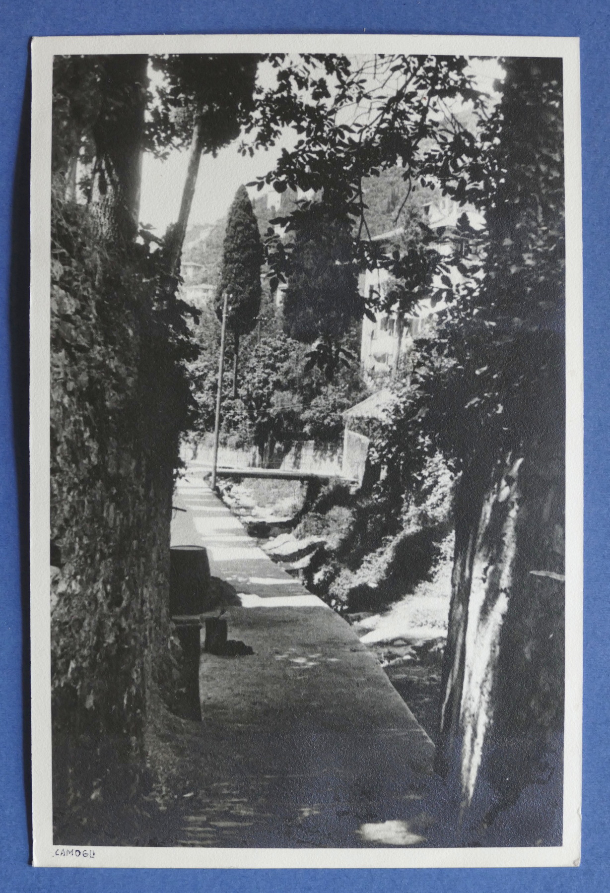 Fotografia d'epoca Ponte di Cò - Camogli - agosto 1936