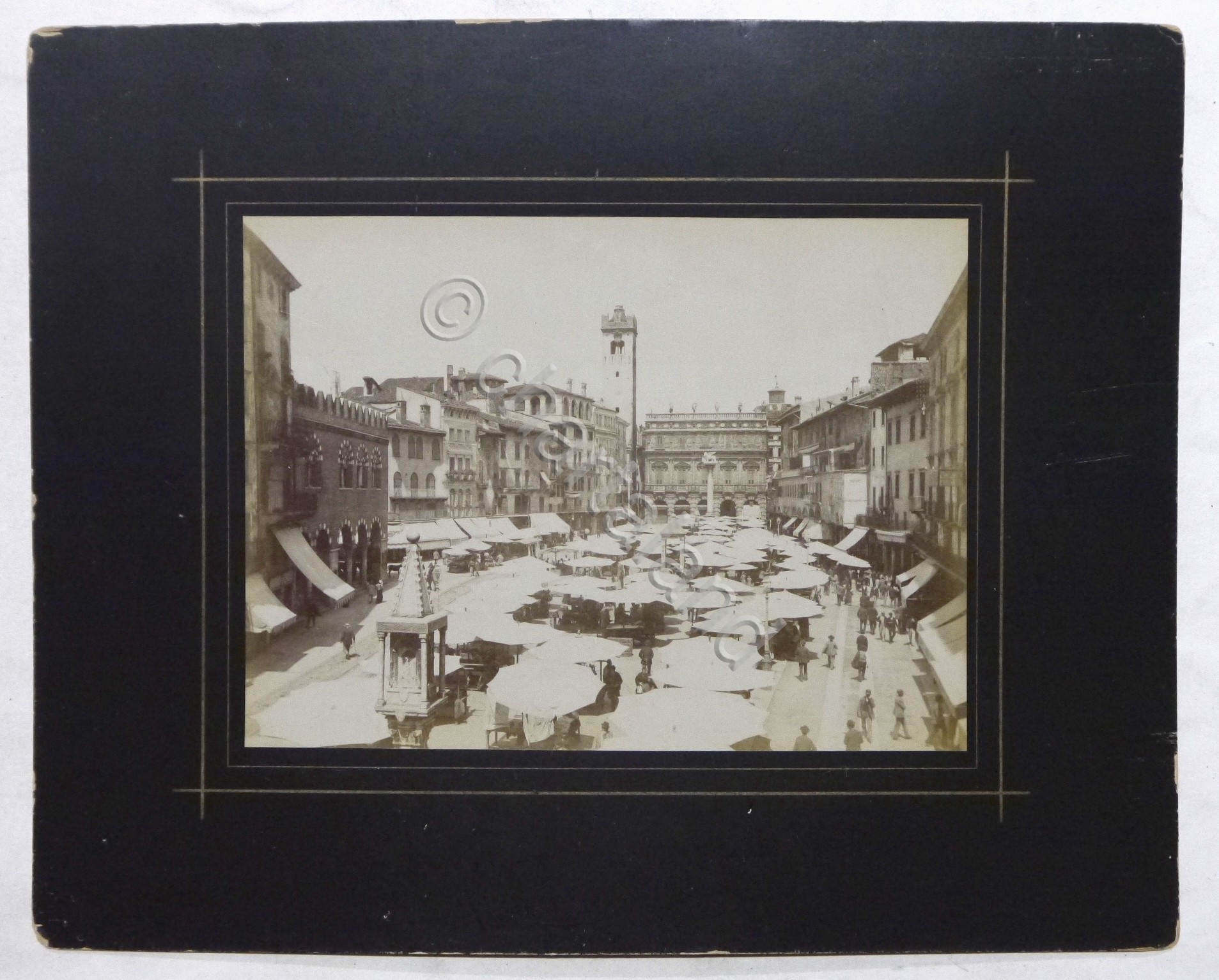 Fotografia epoca albumina Verona - Mercato a Piazza delle Erbe …