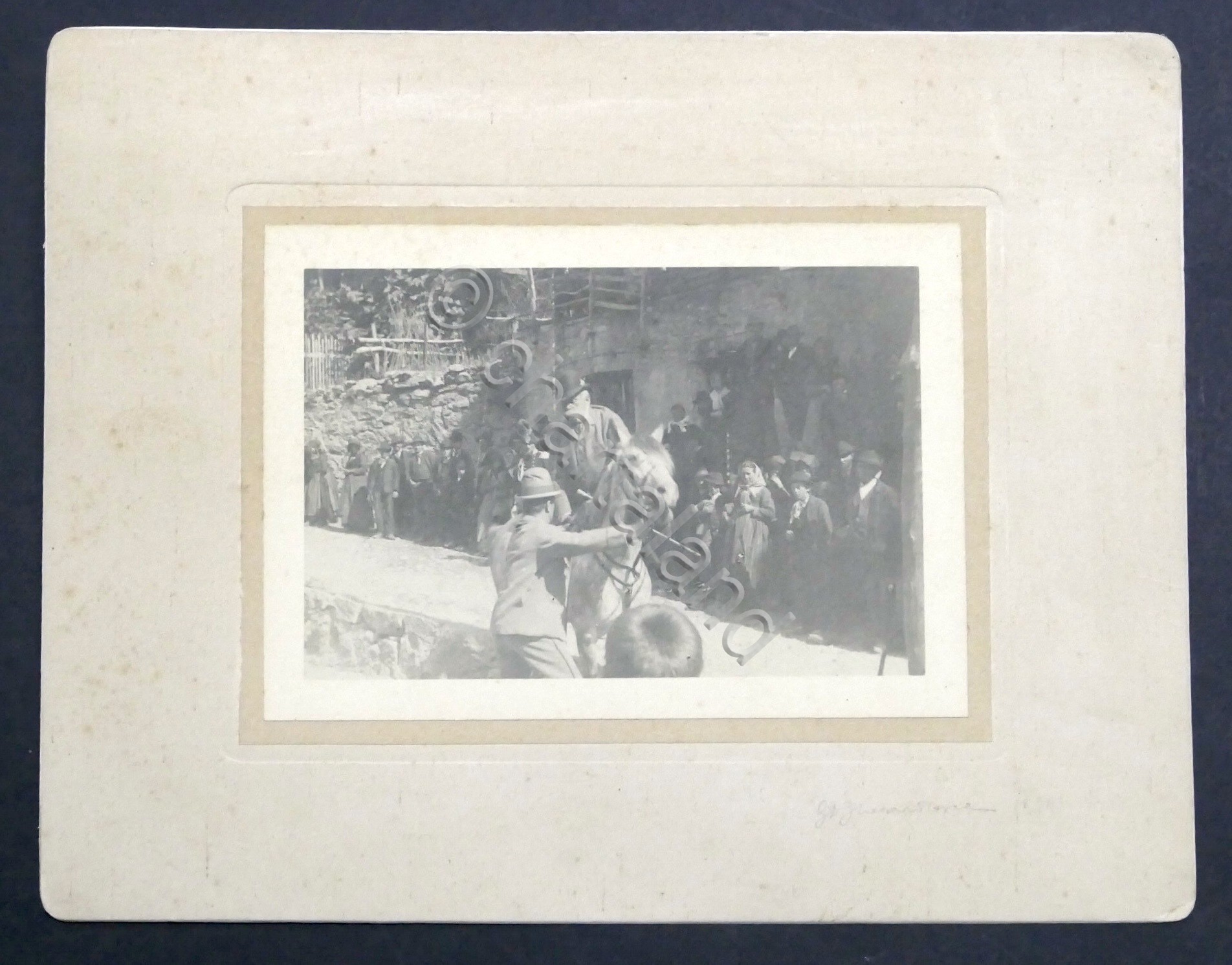 Fotografia Francesco Giuseppe I imperatore d'Austria a cavallo - 1894