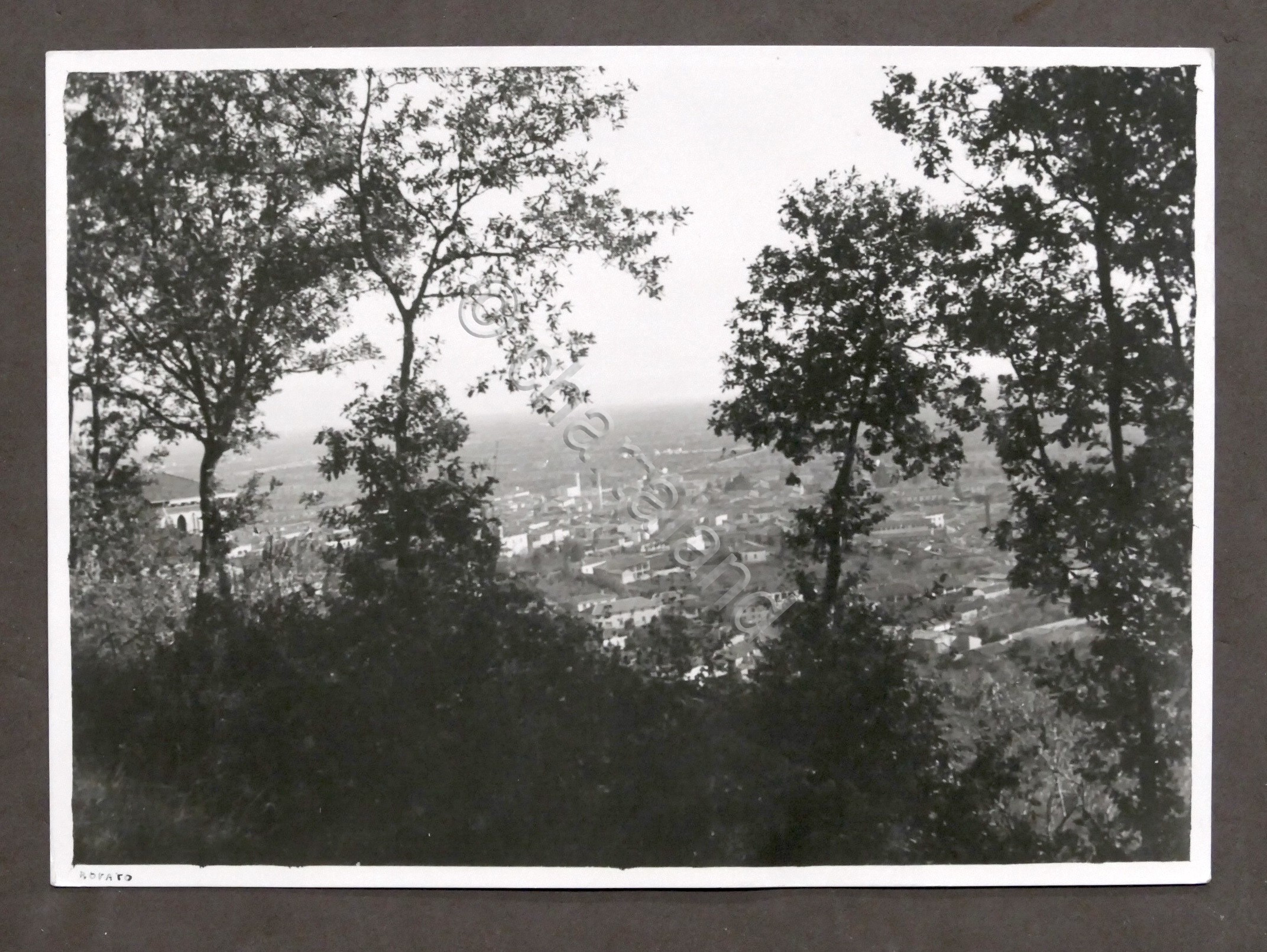 Fotografia Rovato (Brescia) - Panorama - 1930