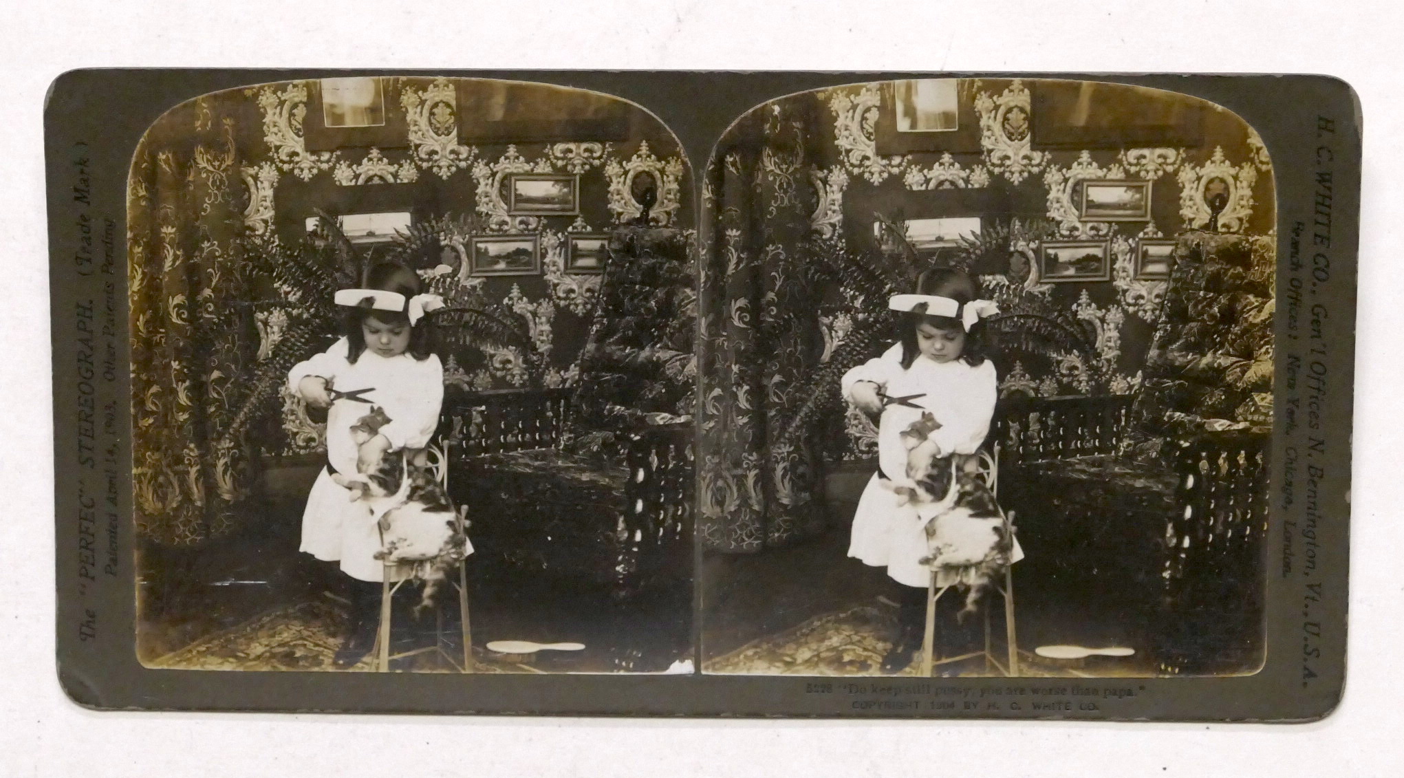 Fotografia stereoscopica - Bambina con gatto - 1903