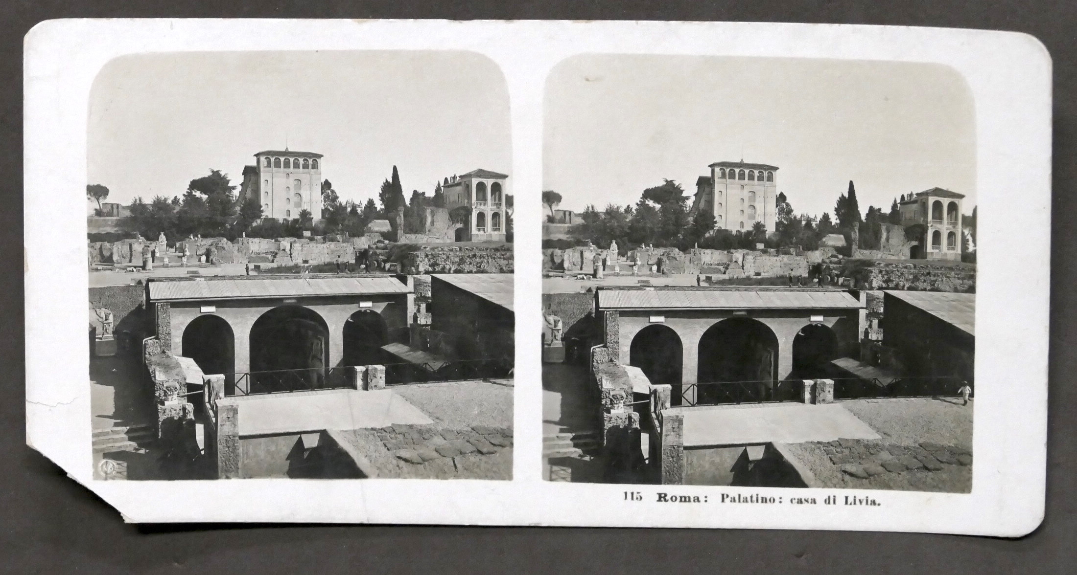 Fotografia stereoscopica - Roma - Palatino - Casa di Livia …