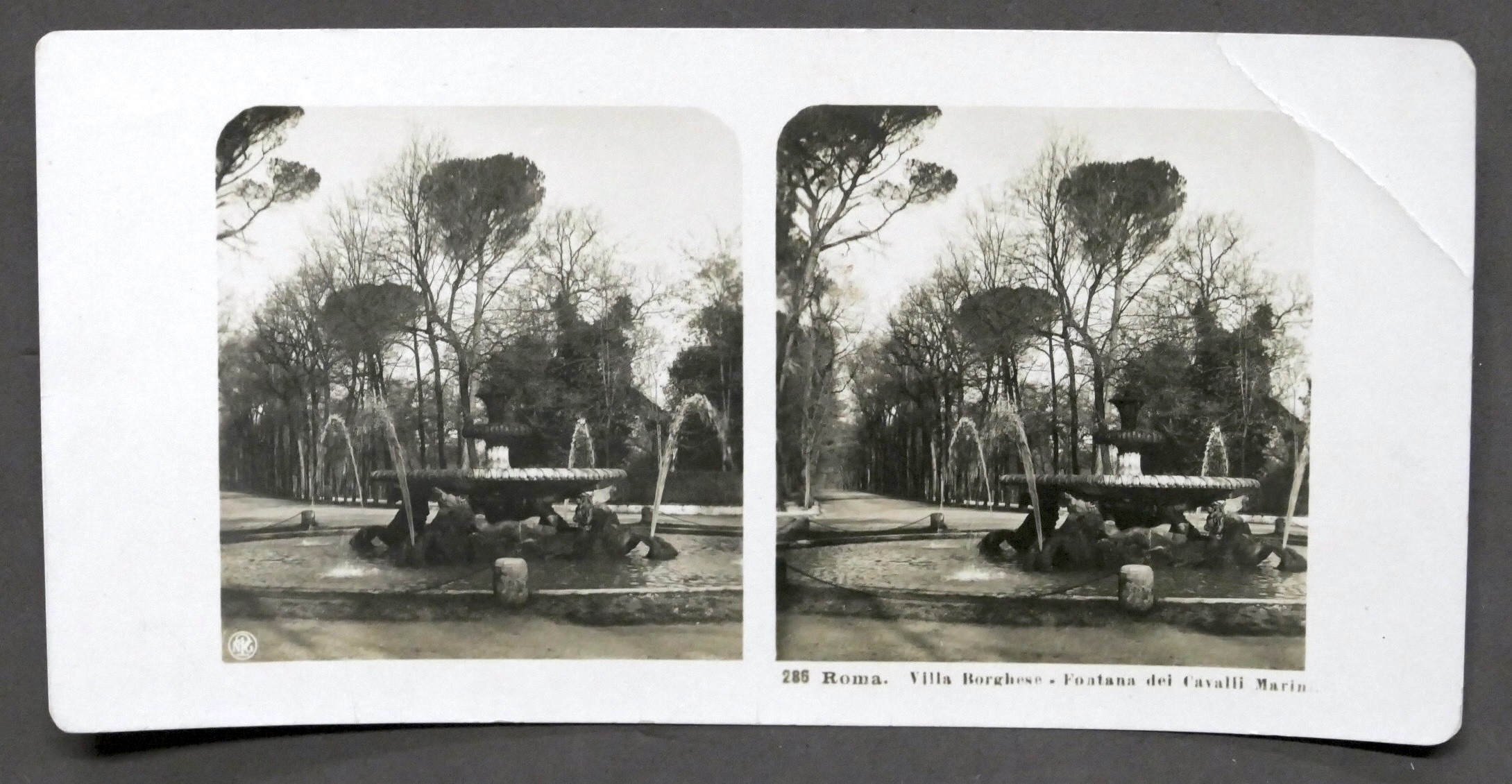 Fotografia stereoscopica - Roma Villa Borghese - Fontana dei Cavalli …