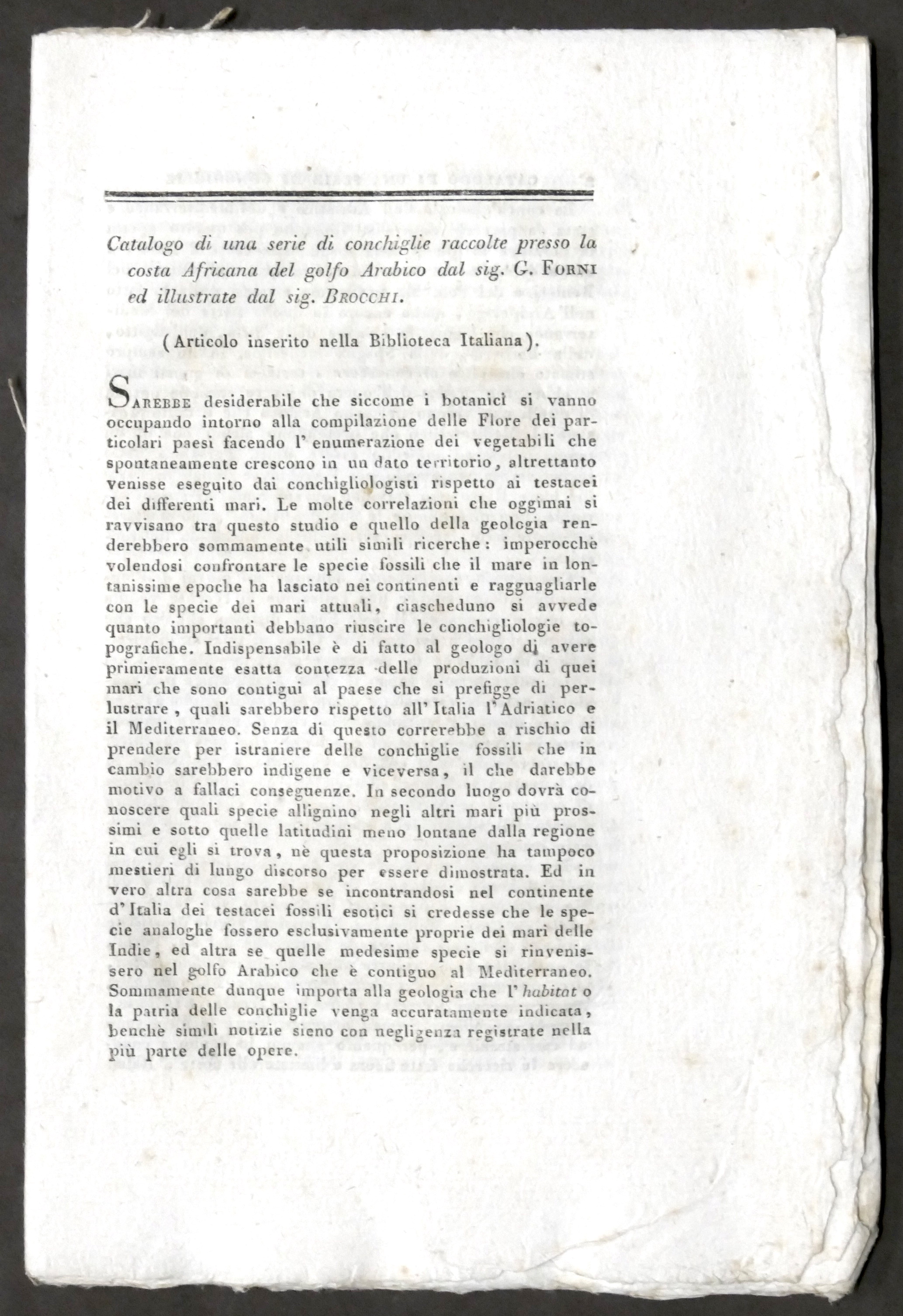 G. Forni - Catalogo serie di conchiglie - Costa africana …