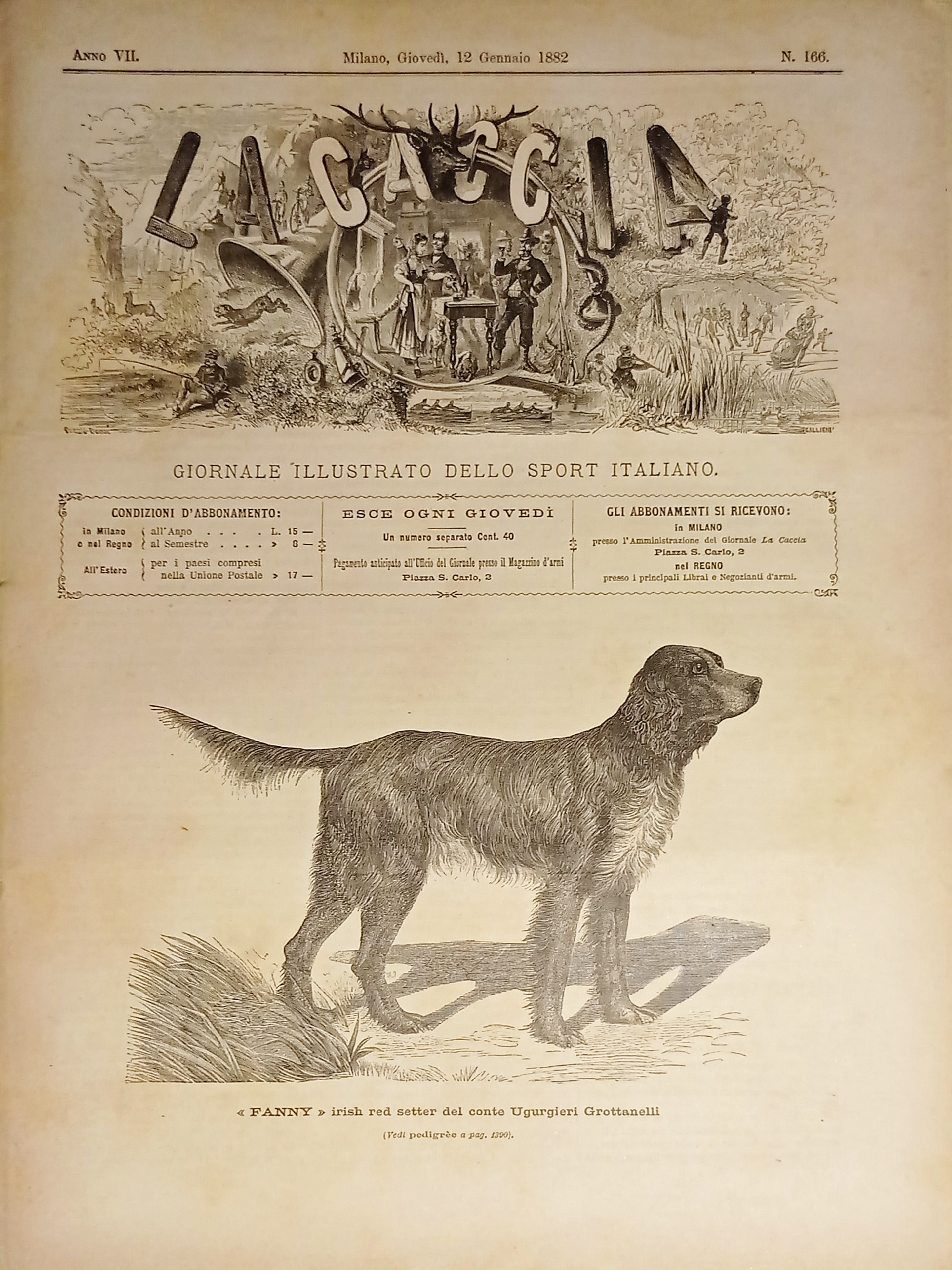 Giornale Illustrato dello Sport Italiano - La Caccia N. 166 …