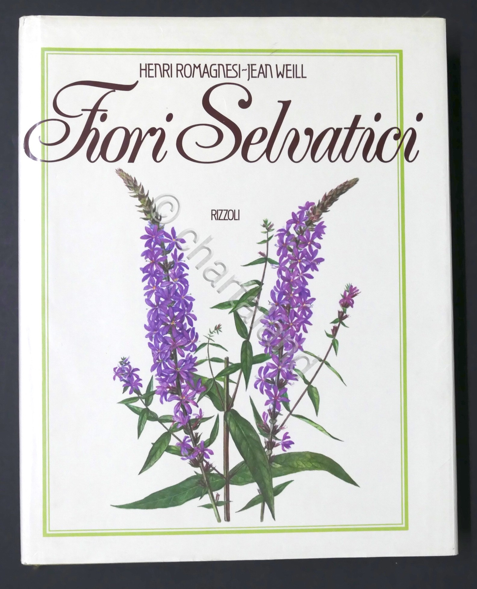 H. Romagnesi, J. Weill - Fiori selvatici - 1^ ed. …