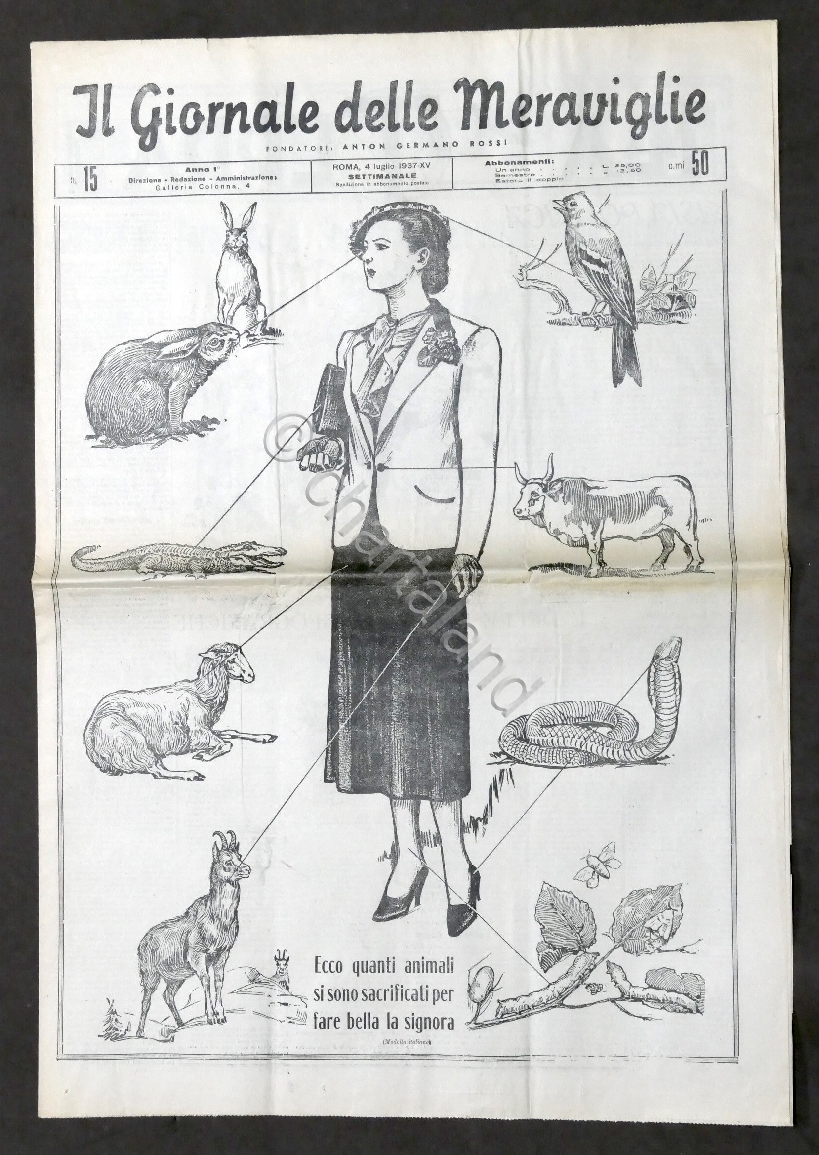 Il Giornale delle Meraviglie N. 15 - Animali sacrificati per …