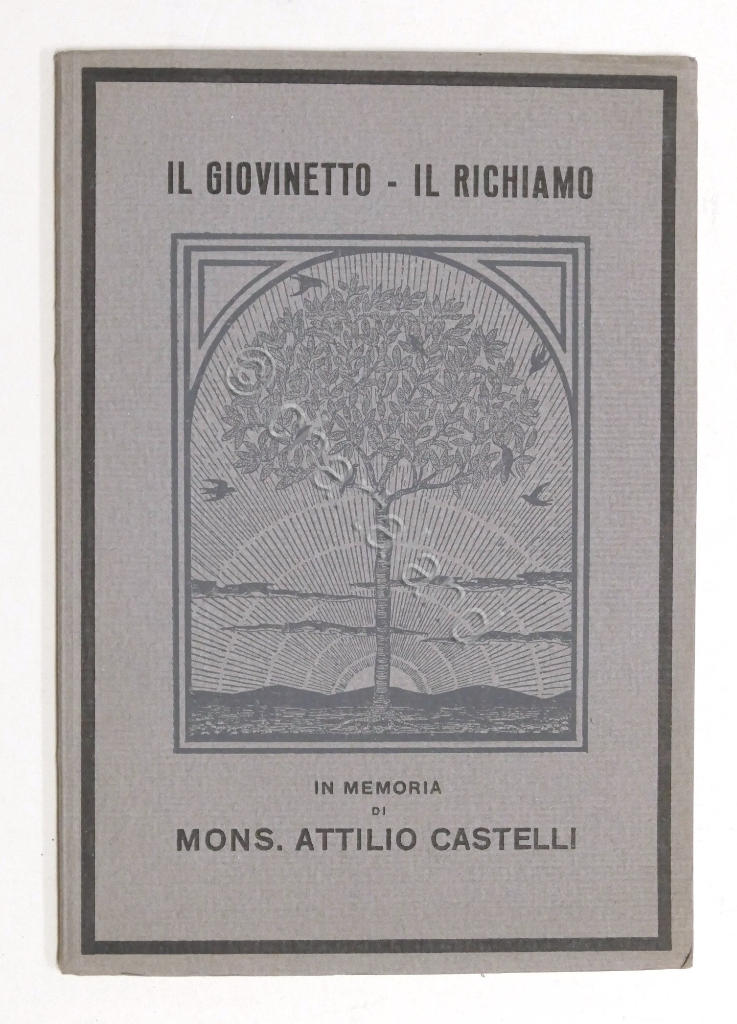 Il Giovinetto - Il Richiamo - In memoria di Mons. …