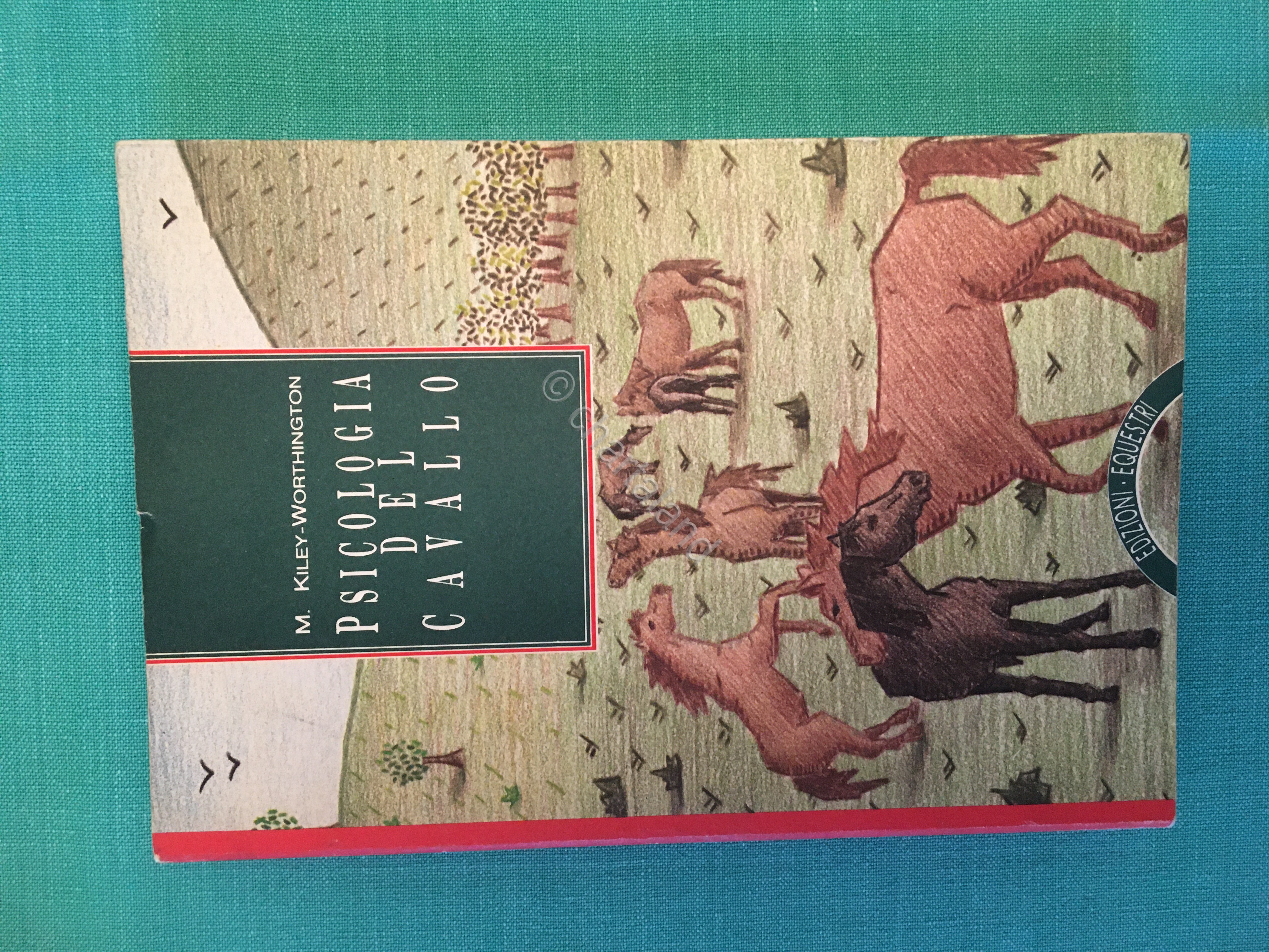 Ippica - M. Kiley Worthington - Psicologia del cavallo - …