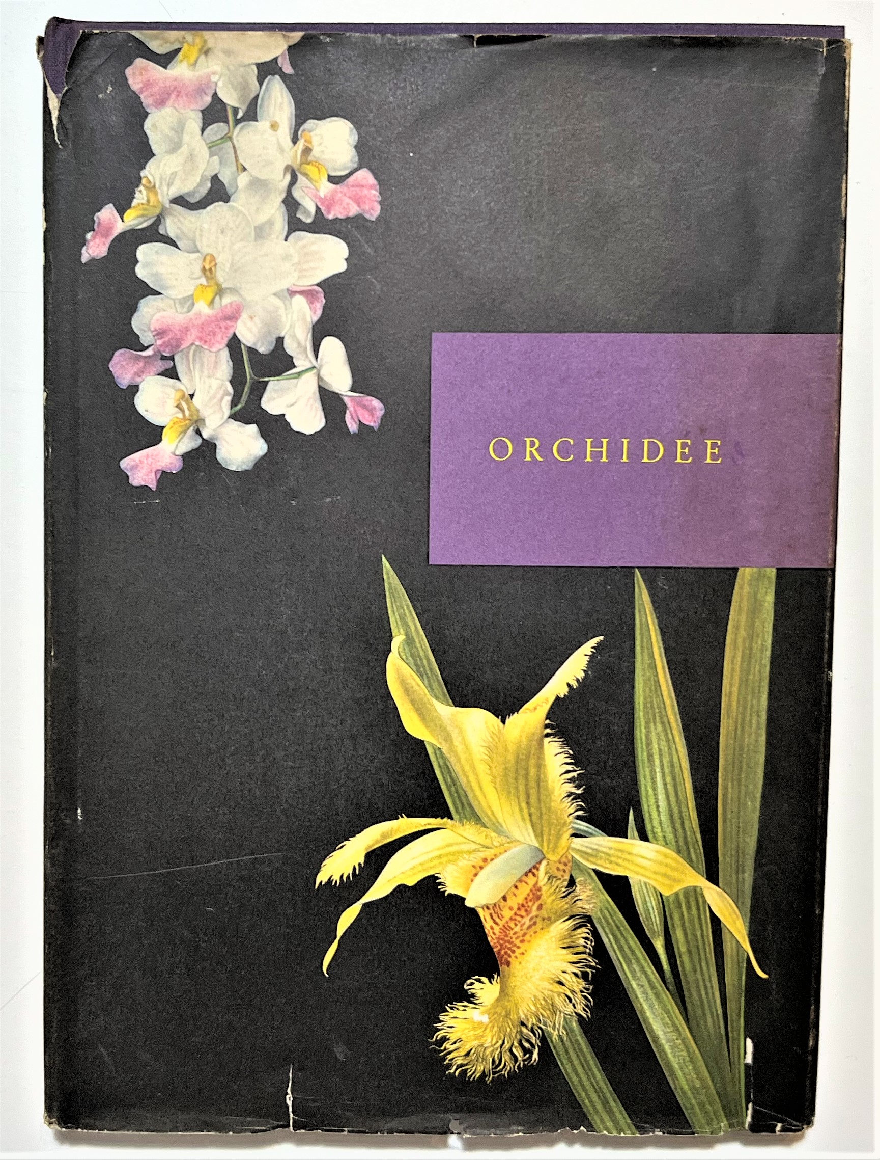 Kupper / Linsenmaier - Orchidee - ed. 1952