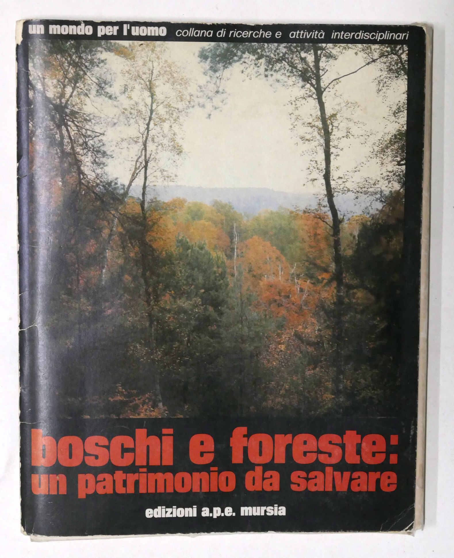 L. Cedrini - Boschi e foreste: un patrimonio da salvare …