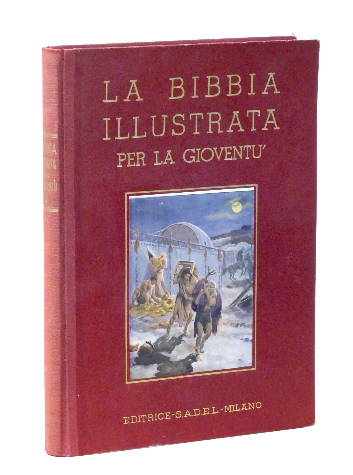 La Bibbia illustrata per la gioventù - Volume II - …